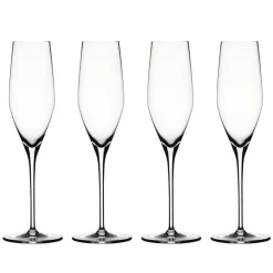 Spiegelau Authentis Champange glass 19cl. 4-pack, clear Transparent Discount