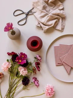 Cooee Design Broken Lines napkin 33x33 cm 20-pack, Berry-white RedWhite New
