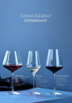 Aida Connoisseur Extravagant white wine glass 40.5 cl 4-pack, Clear Transparent Sale