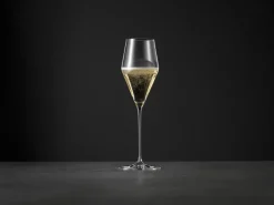 Spiegelau Definition Digestive glass 13cl, Clear Transparent