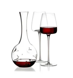 Zieher Eddy mini decanter set-Vision Straight wine glasses 2-pack, Clear Transparent Best