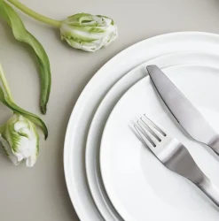 Aida Enso cutlery 16 pieces, Satin (steel) Silver-coloured Online