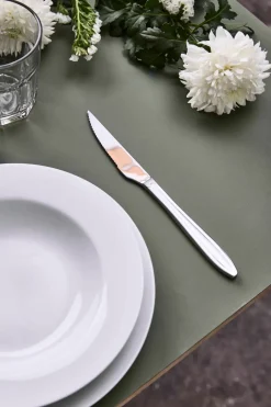 Aida Gastro steak knife, Stainless steel Silver-coloured Discount