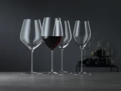Spiegelau HI-LITE Burgundy wine glasses 70 cl 2-pack, Clear Transparent Sale