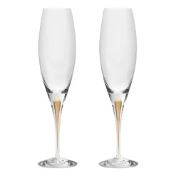 Orrefors Intermezzo champagne glass 26 cl 2-pack, Gold Gold-coloured
