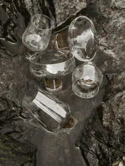 Blomus Koyoi liqueur glass 13 cl, Clear Transparent