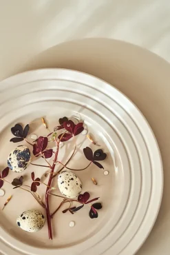 NJRD Lines plate Ø27 cm 6-pack, Beige Outlet