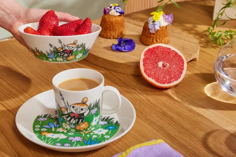 Moomin Arabia Little My and meadow Moomin bowl, White- Multi New