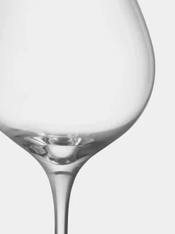 Orrefors More Pinot wine glasses 60 cl 2-pack, Clear Transparent Hot