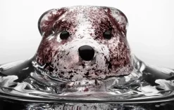 Kosta Boda New Friends glass 46 cl, bear tumbler BrownTransparent Discount