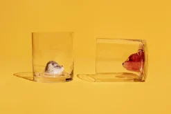 Kosta Boda New Friends glass 46 cl, Fox Transparent Outlet