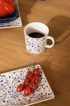 Iittala Oiva Toikka Helle A6 plate 10x15 cm, Blue-brown BlueBrown Outlet