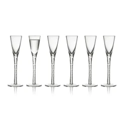 Lyngby Glas Paris snaps glass 2.5 cl 6-pack, Clear Transparent Discount