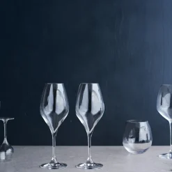 Rosendahl Premium Champagne glass 37 cl 2-pack, Clear Transparent Best