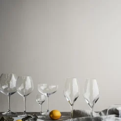 Rosendahl Premium Champagne glass 37 cl 2-pack, Clear Transparent Best