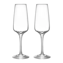 Orrefors Pulse champagne glass 28 cl 2-pack, Clear Transparent Clearance