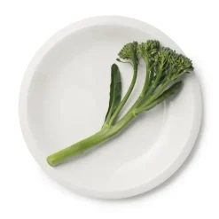 Iittala Raami small plate 17 cm, White Clearance