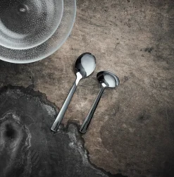 Aida Raw serving spoon and ladle, Polished stainless steel Silver-coloured Online