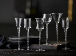 Lyngby Glas Rom snaps glass 2.5-5 cl 6 pieces, Clear Transparent New