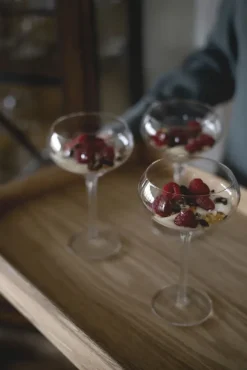 Sagaform Saga cocktail glass 2-pack, Clear Transparent Sale