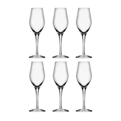 Orrefors Sense champagne glass 25.5 cl 6-pack, Clear Transparent