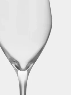 Orrefors Sense champagne glass 25.5 cl 6-pack, Clear Transparent
