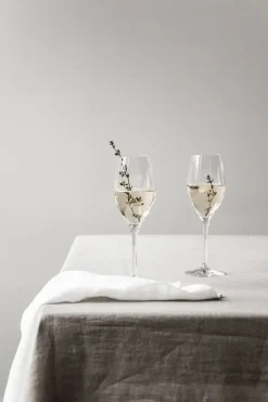 Orrefors Sense champagne glass 25.5 cl 6-pack, Clear Transparent